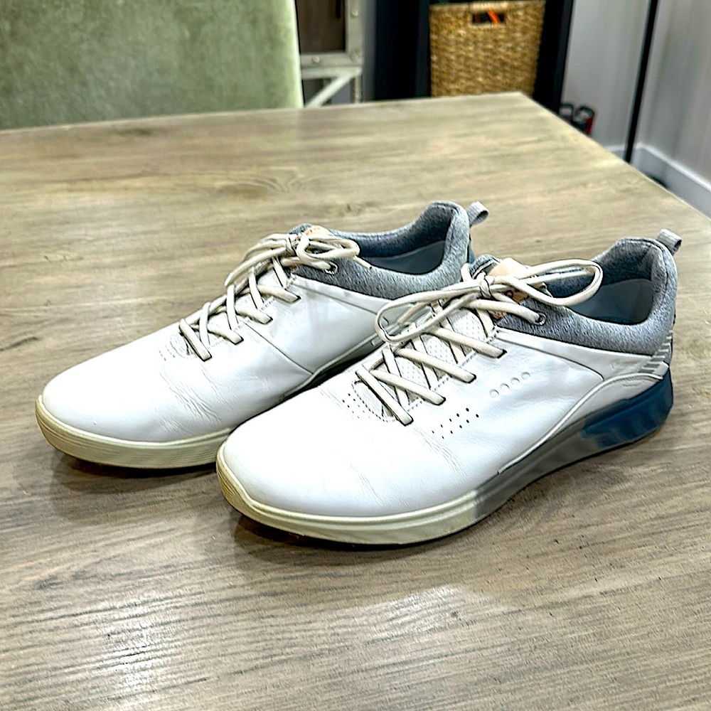 Ecco Golf (GORETEX) shoes